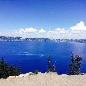 Meet your Posher, Jackson